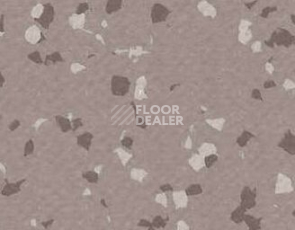Линолеум Gerflor Taralay Premium Brazilia 4329 Bacabal фото 1 | FLOORDEALER
